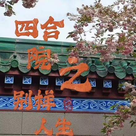 小说四合院里的别样人生