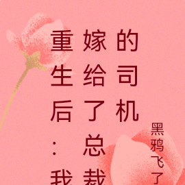 重生后:我嫁给了总裁的司机
