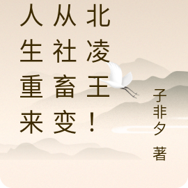 当人生重来，从社畜变成北凌王！