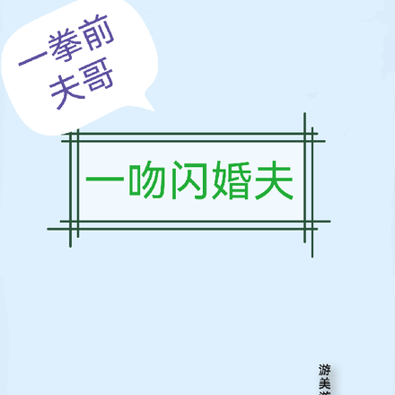 一拳前夫哥,一吻闪婚夫