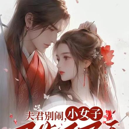 夫君别闹,小女子买艺不买身