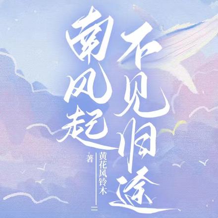 南风起，不见归途