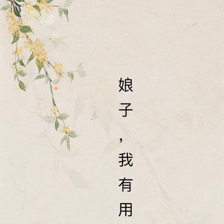 娘子，我有用