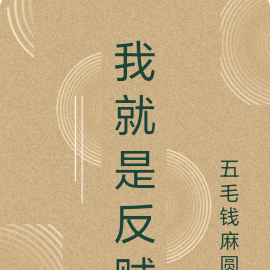 我就是反贼