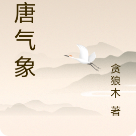 大唐气象