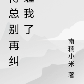 傅总别在纠缠我了