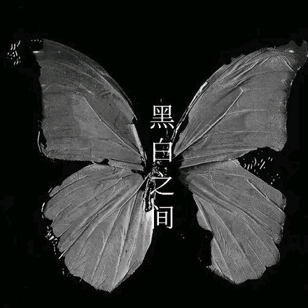 黑白之间1