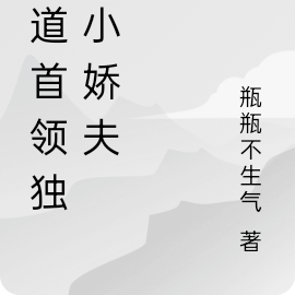 霸道首领独宠小娇夫