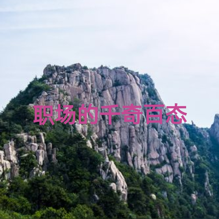职场的千奇百态