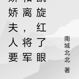 娇娇夫人要和离，将军凯旋红了眼