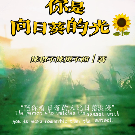 你是向日葵的光
