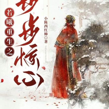 若曦重生之步步惊心