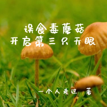 误食毒蘑菇,开启第三只天眼