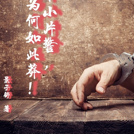 你个小片警,为何如此莽!