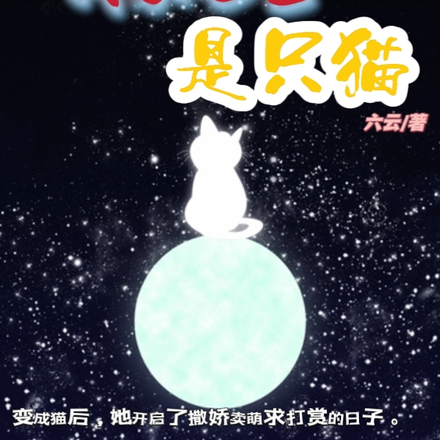 我家七宝是只猫