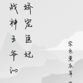 战神王爷的娇宠医妃