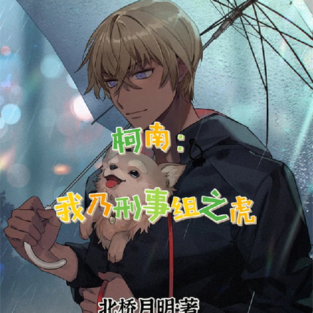 柯南:我乃刑事组之虎