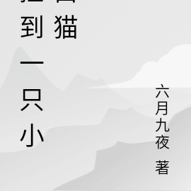 捡到一只小白猫