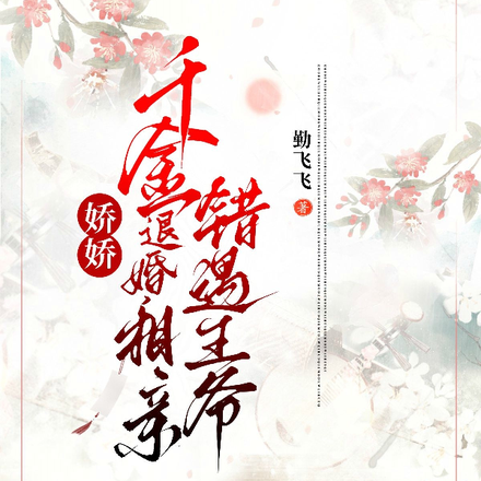 娇娇千金退婚，相亲错遇王爷