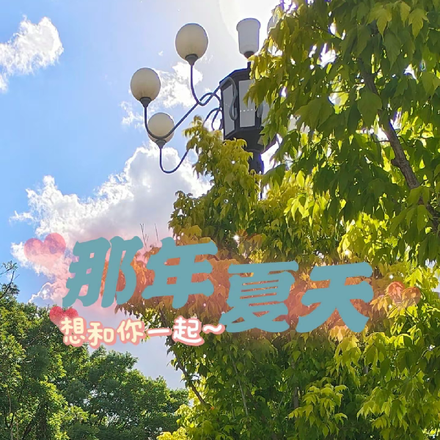 那年夏天，想和你一起