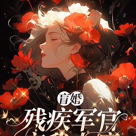 盲婚,残疾军官宠我上瘾