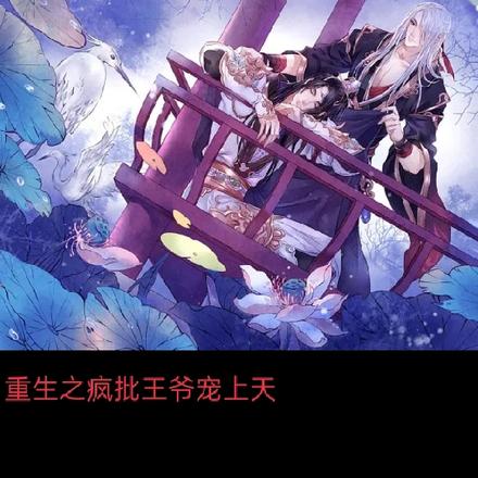 重生之疯批王爷宠上天