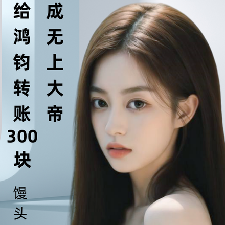 给鸿钧转账300块，成无上大帝