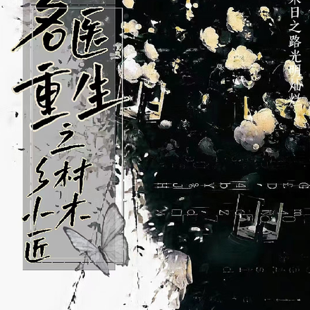 名医重生之乡村小木匠
