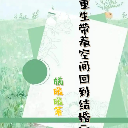 重生带着空间回到结婚后