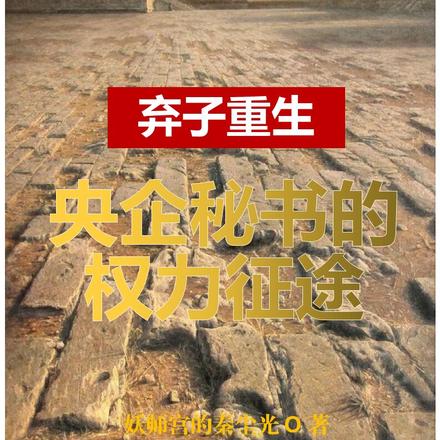 弃子重生：央企秘书的权力征途