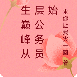 人生巅峰从基层公务员开始