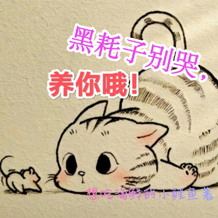 黑耗子别哭,养你哦!