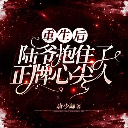 重生后,陆爷抱住了正牌心尖人