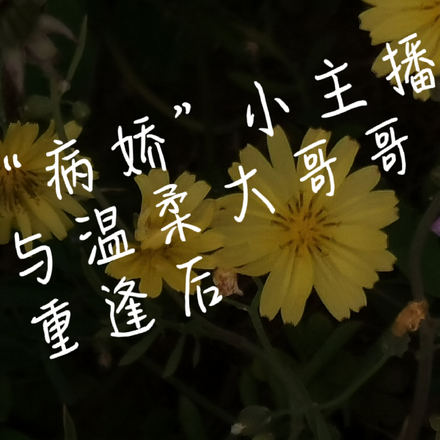 病娇小主播与温柔大哥哥重逢后