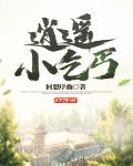 逍遥小乞丐