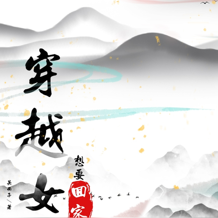 穿越女想要回家
