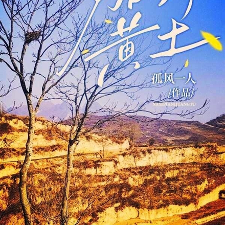 那一片黄土
