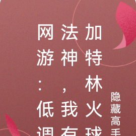 网游:低调法神,我有加特林火球