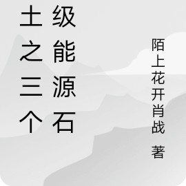 废土之三个一级能源石