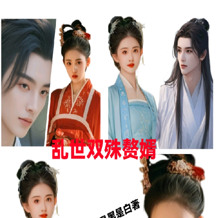 乱世双殊赘婿