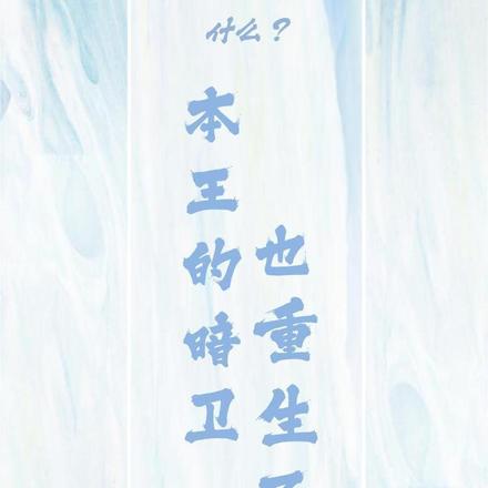 什么?本王的暗卫也重生了?