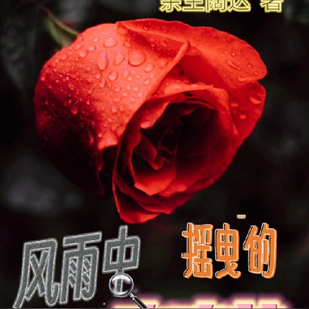 风雨中摇曳的玫瑰
