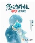 你有一份外挂待签收