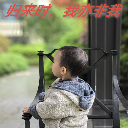 归来时，我亦非我