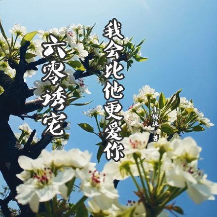 六零诱宠:我会比他更爱你