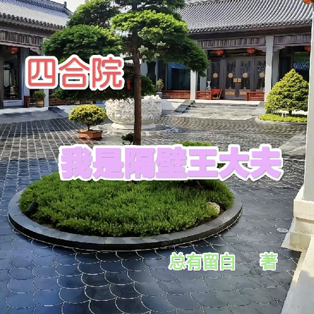 四合院:我是隔壁王大夫