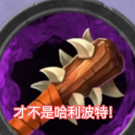 才不是哈利波特!是哈莉波特!