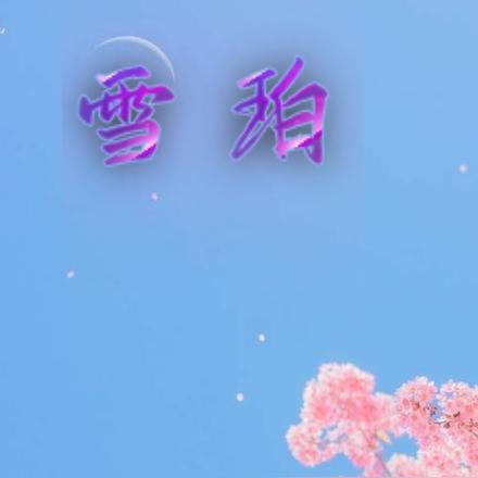 雪珀