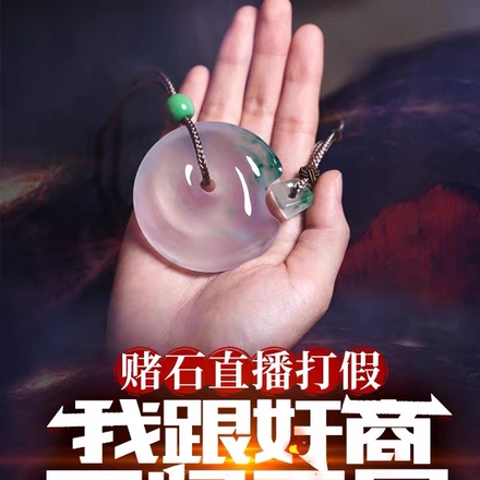赌石直播打假:我跟奸商同归于尽