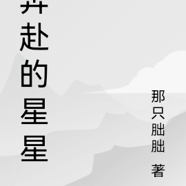 奔赴的星星
